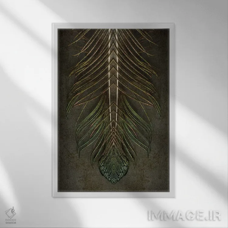 تابلو دکوراتیو تقارن پر طاووس فرشته مقرب اثر آلیسون فنل - نمای قابدار سفید