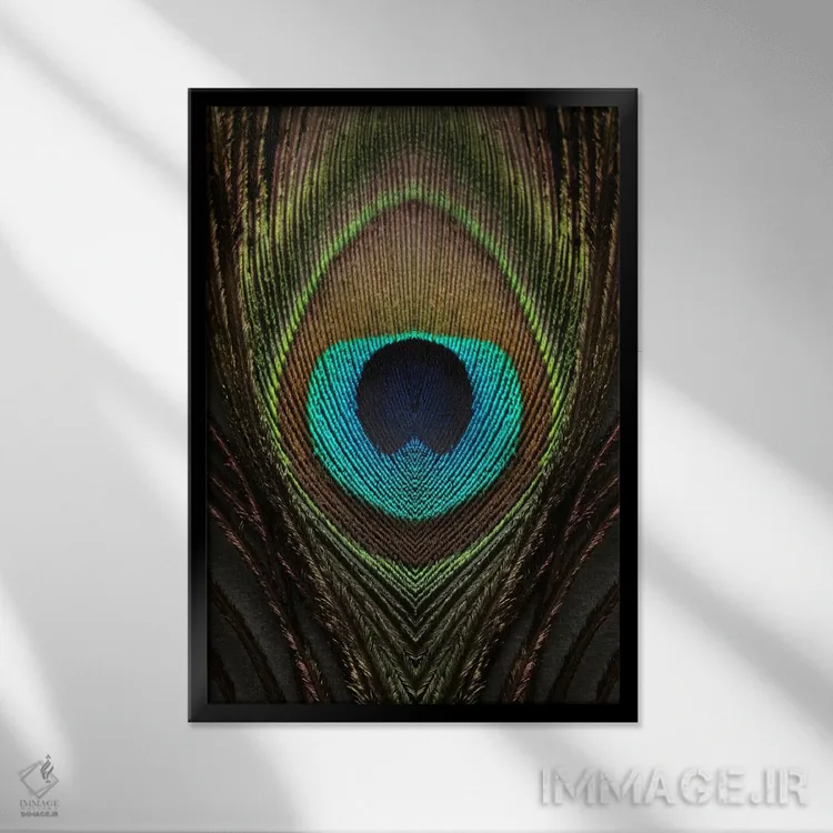 تابلو دکوراتیو تقارن پر طاووس ۱ اثر آلیسون فنل - نمای قابدار مشکی