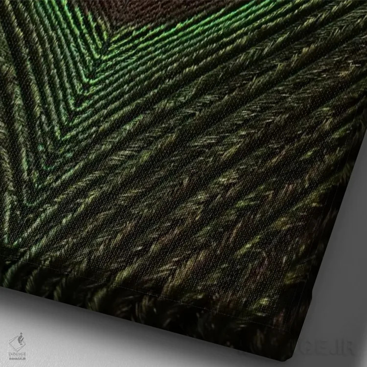 تابلو دکوراتیو تقارن پر طاووس ۳ اثر آلیسون فنل - نمای نزدیک بافت بوم