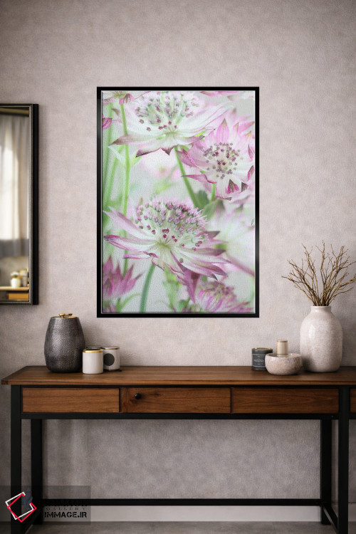 تابلو دکوراتیو گل های آسترنتیا صورتی پاستلی اثر آلیسون فنل - D2B