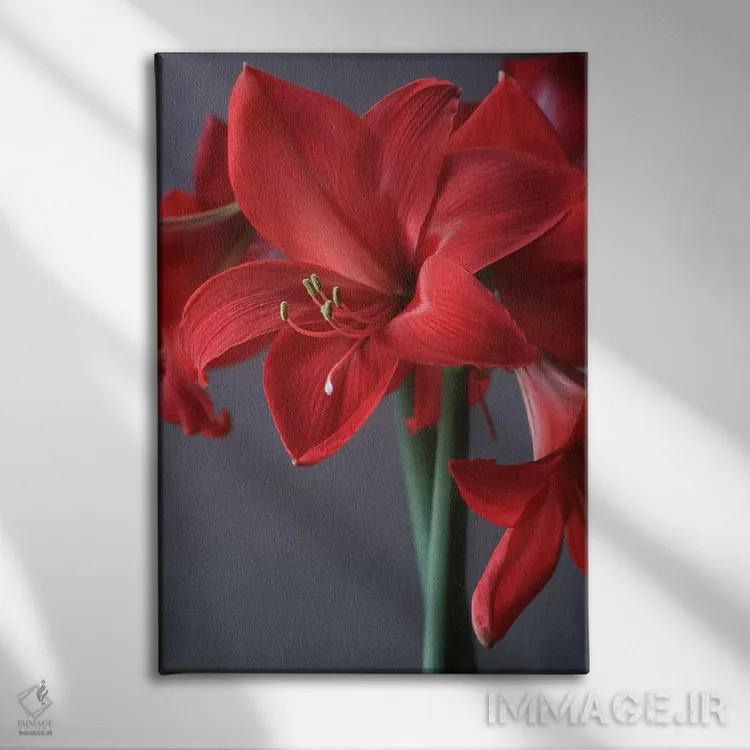 تابلو دکوراتیو آمارلیس قرمز اثر آلیسون فنل - نمای روبهرو روی دیوار