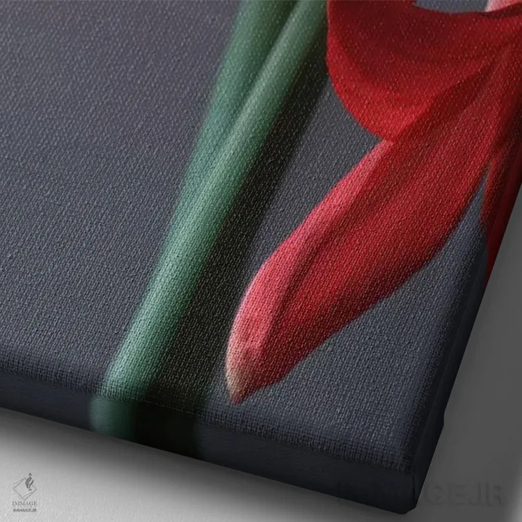 تابلو دکوراتیو آمارلیس قرمز اثر آلیسون فنل - نمای نزدیک بافت بوم