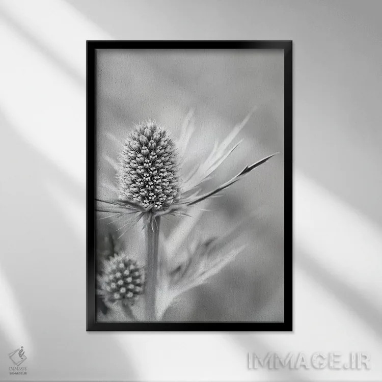 تابلو دکوراتیو گل خولای دریایی آلپی اثر آلیسون فنل - نمای قابدار مشکی