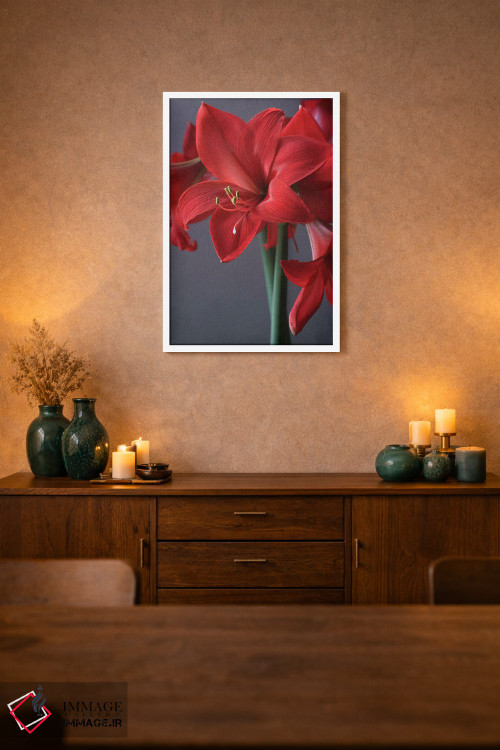 تابلو دکوراتیو آمارلیس قرمز اثر آلیسون فنل - D1W