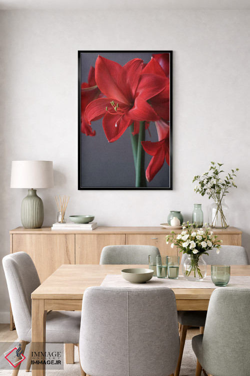تابلو دکوراتیو آمارلیس قرمز اثر آلیسون فنل - D6B