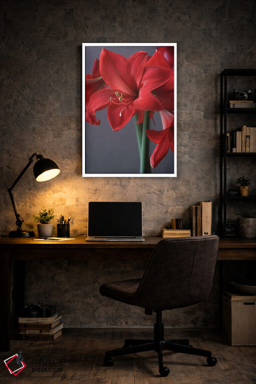 تابلو دکوراتیو آمارلیس قرمز اثر آلیسون فنل - D5W