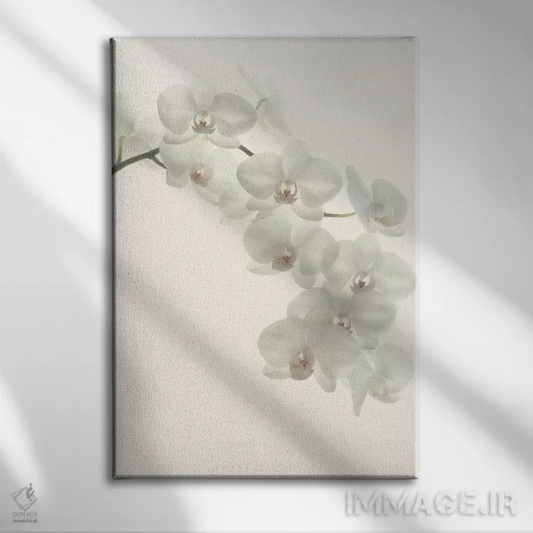تابلو مینیمال ارکیده های سفید اثر آلیسون فنل - نمای روبهرو روی دیوار