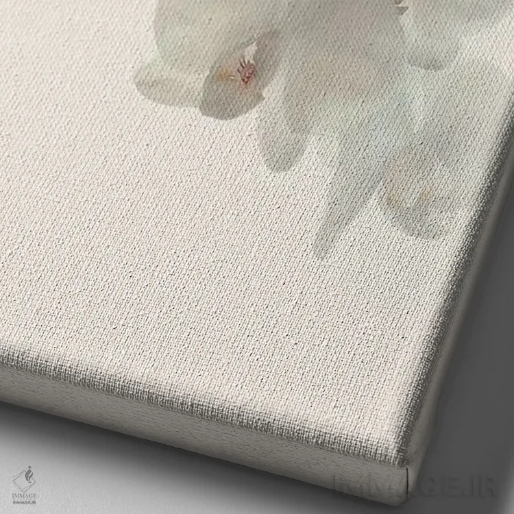 تابلو مینیمال ارکیده های سفید اثر آلیسون فنل - نمای نزدیک بافت بوم