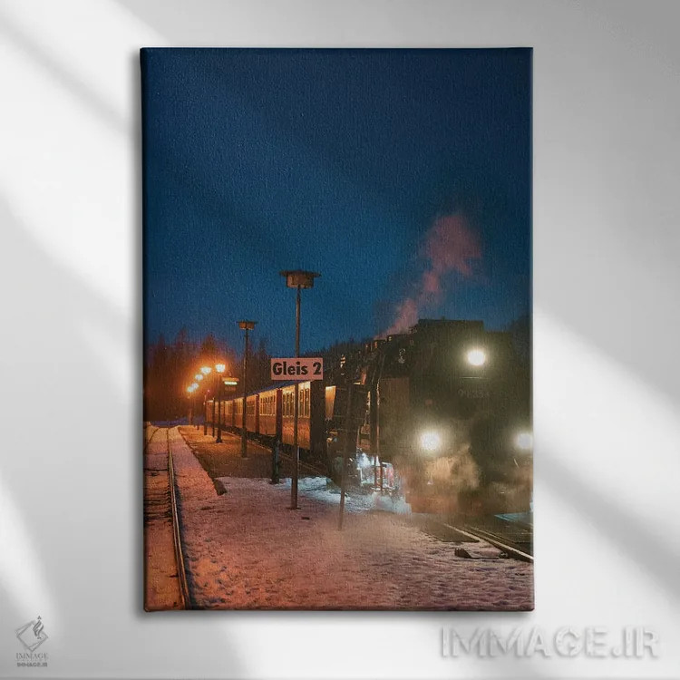 تابلو دکوراتیو قطار سریع السیر قطبی دو اثر فابیان فورتمن - نمای روبهرو روی دیوار