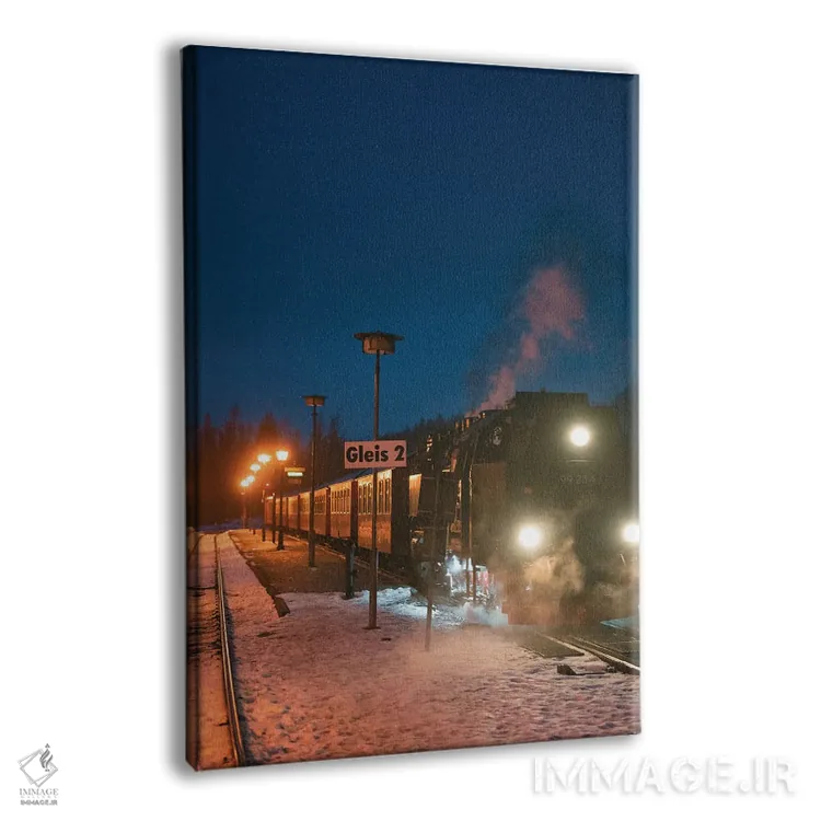 تابلو دکوراتیو قطار سریع السیر قطبی دو اثر فابیان فورتمن - نمای پرسپکتیو محصول