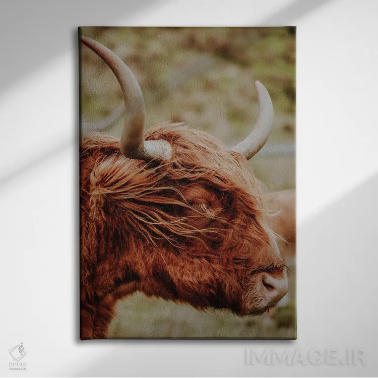 تابلو دکوراتیو گاو کوهستانی اثر فابیان فورتمن - نمای روبهرو روی دیوار