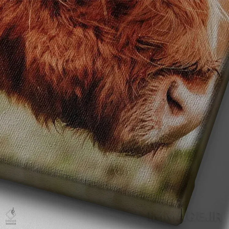 تابلو دکوراتیو گاو کوهستانی اثر فابیان فورتمن - نمای نزدیک بافت بوم