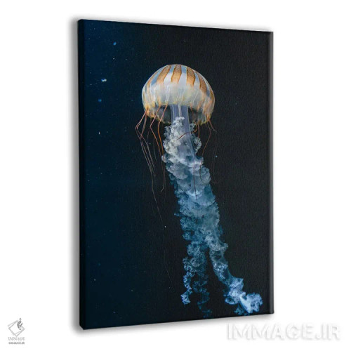 تابلو دکوراتیو عروس دریایی چهارم اثر فابیان فورتمن - نمای پرسپکتیو محصول