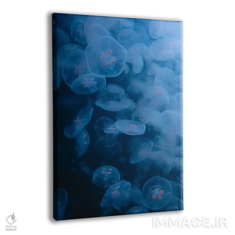 تابلو دکوراتیو عروس دریایی پنجم اثر فابیان فورتمن - نمای پرسپکتیو محصول