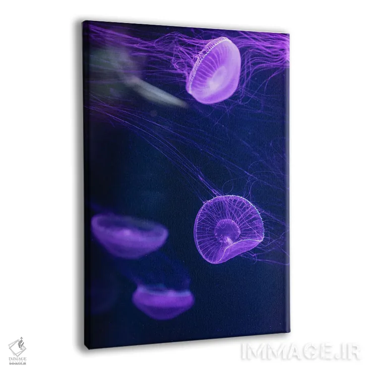 تابلو دکوراتیو عروس دریایی سه اثر فابیان فورتمن - نمای پرسپکتیو محصول