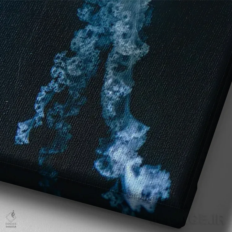 تابلو دکوراتیو عروس دریایی چهارم اثر فابیان فورتمن - نمای نزدیک بافت بوم