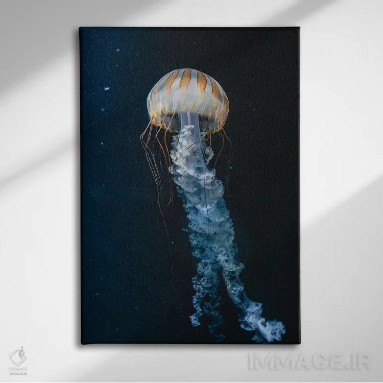 تابلو دکوراتیو عروس دریایی چهارم اثر فابیان فورتمن - نمای روبهرو روی دیوار