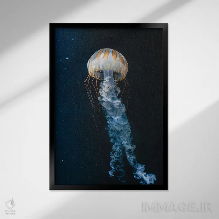 تابلو دکوراتیو عروس دریایی چهارم اثر فابیان فورتمن - نمای قابدار مشکی