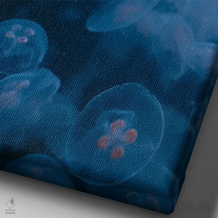 تابلو دکوراتیو عروس دریایی پنجم اثر فابیان فورتمن - نمای نزدیک بافت بوم