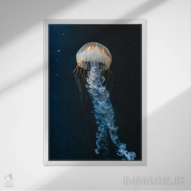 تابلو دکوراتیو عروس دریایی چهارم اثر فابیان فورتمن - نمای قابدار سفید