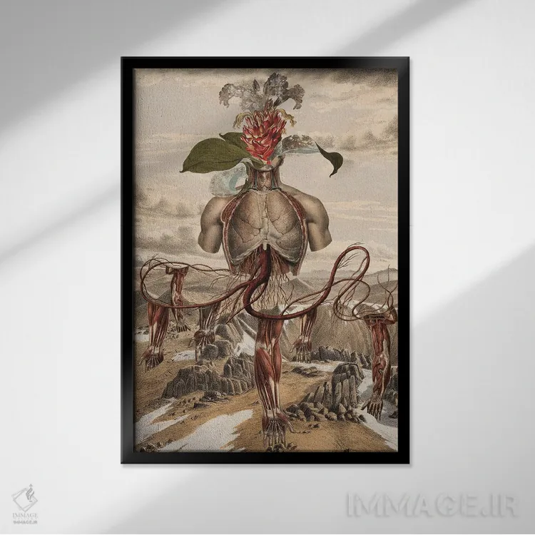 تابلو دکوراتیو سومرو اثر اف اف او آرت - نمای قابدار مشکی