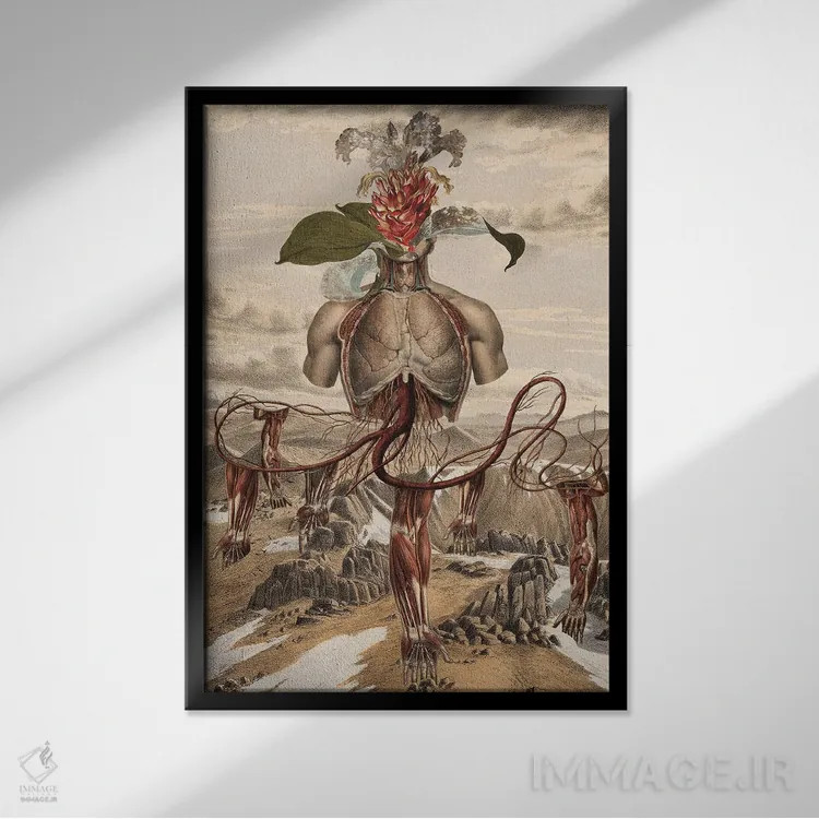 تابلو دکوراتیو سومرو اثر اف اف او آرت - نمای قابدار مشکی