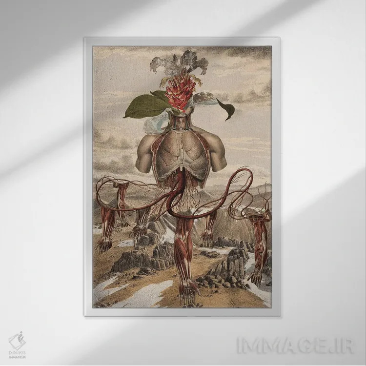 تابلو دکوراتیو سومرو اثر اف اف او آرت - نمای قابدار سفید