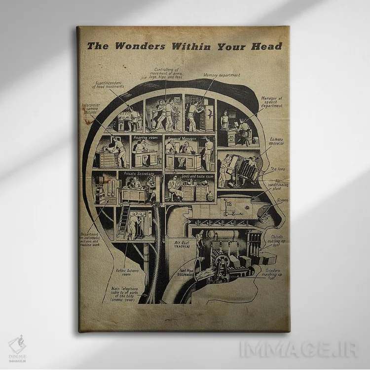 تابلو دکوراتیو شگفتی های درون ذهنت اثر فیشرکرافت - نمای روبهرو روی دیوار