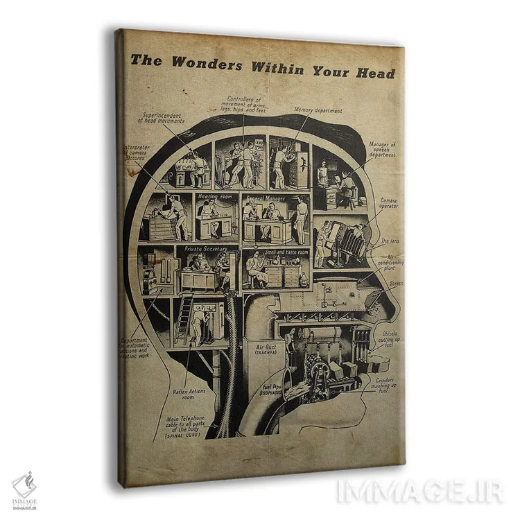 تابلو دکوراتیو شگفتی های درون ذهنت اثر فیشرکرافت - نمای پرسپکتیو محصول