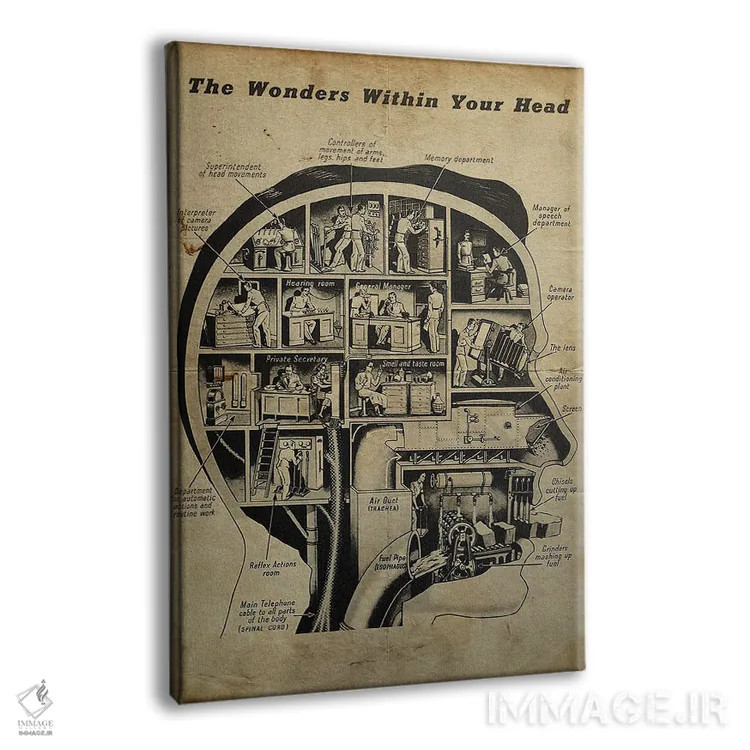 تابلو دکوراتیو شگفتی های درون ذهنت اثر فیشرکرافت - نمای پرسپکتیو محصول