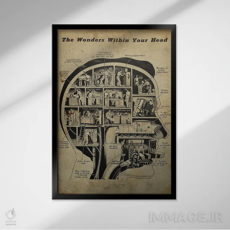 تابلو دکوراتیو شگفتی های درون ذهنت اثر فیشرکرافت - نمای قابدار مشکی