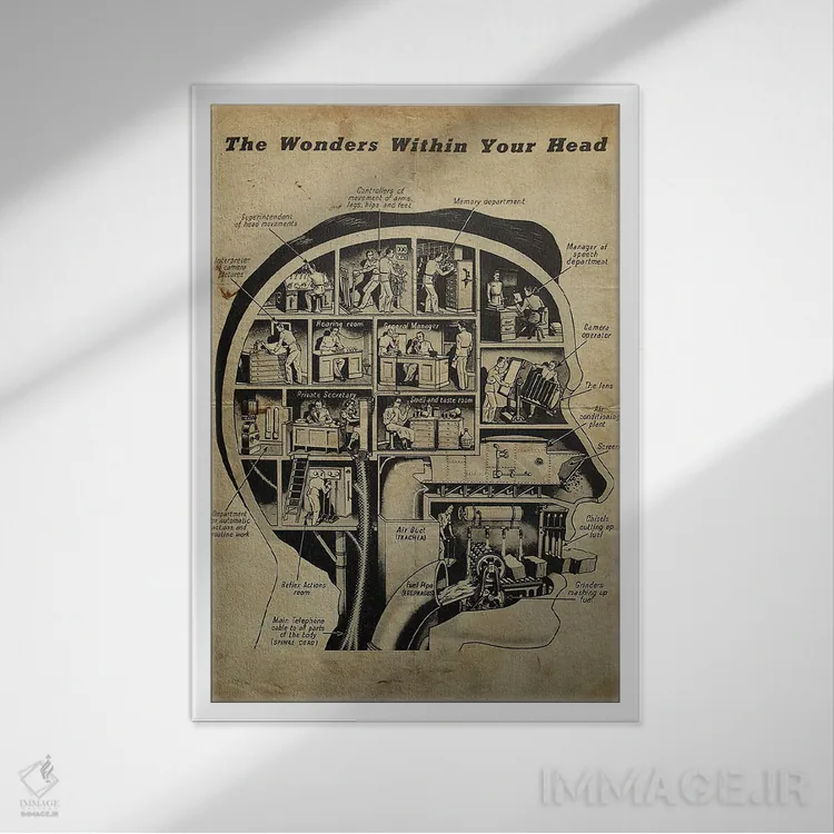 تابلو دکوراتیو شگفتی های درون ذهنت اثر فیشرکرافت - نمای قابدار سفید