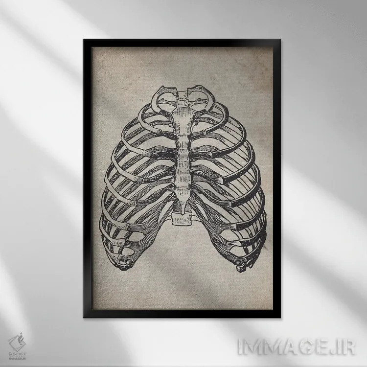 تابلو دکوراتیو چاپ پزشکی قفسه سینه قدیمی اثر فیشرکرافت - نمای قابدار مشکی