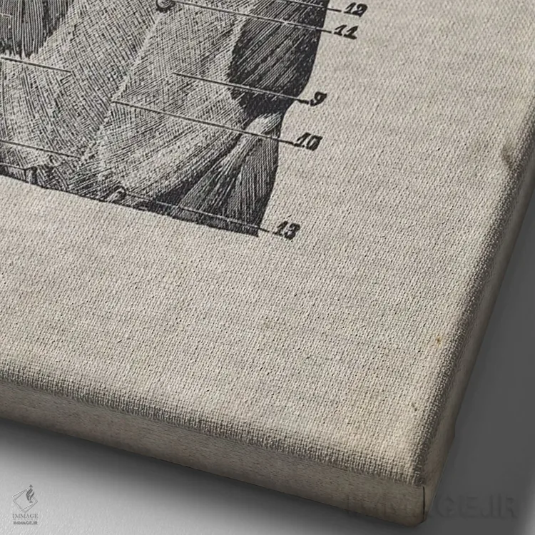 تابلو دکوراتیو چاپ پزشکی نیم تنه قدیمی اثر فیشرکرافت - نمای نزدیک بافت بوم