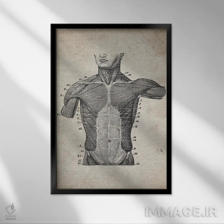 تابلو دکوراتیو چاپ پزشکی نیم تنه قدیمی اثر فیشرکرافت - نمای قابدار مشکی