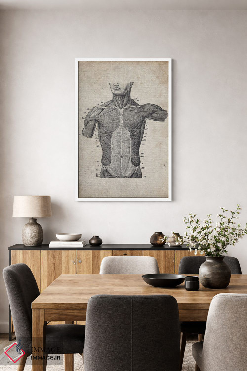 تابلو دکوراتیو چاپ پزشکی نیم تنه قدیمی اثر فیشرکرافت - D3W