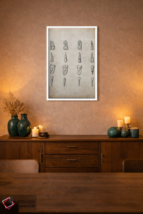 تابلو دکوراتیو چاپ پزشکی دندان های قدیمی اثر فیشرکرافت - D1W