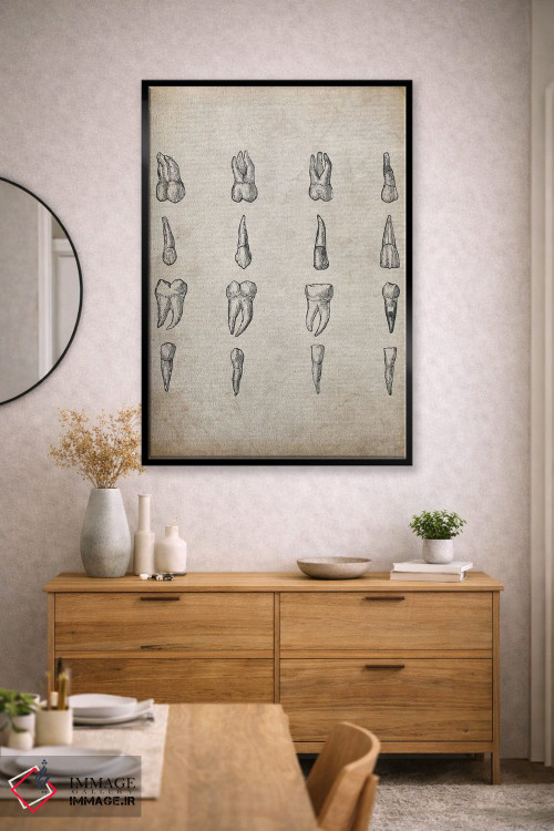تابلو دکوراتیو چاپ پزشکی دندان های قدیمی اثر فیشرکرافت - D2B