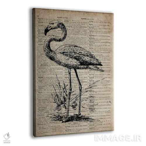 تابلو دکوراتیو چاپ حکاکی فلامینگو سوم روی کاغذ فرهنگ لغت قدیمی اثر فیشرکرافت - نمای پرسپکتیو محصول