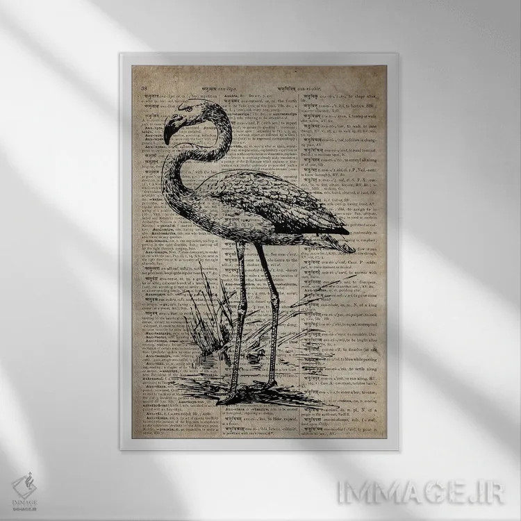 تابلو دکوراتیو چاپ حکاکی فلامینگو سوم روی کاغذ فرهنگ لغت قدیمی اثر فیشرکرافت - نمای قابدار سفید