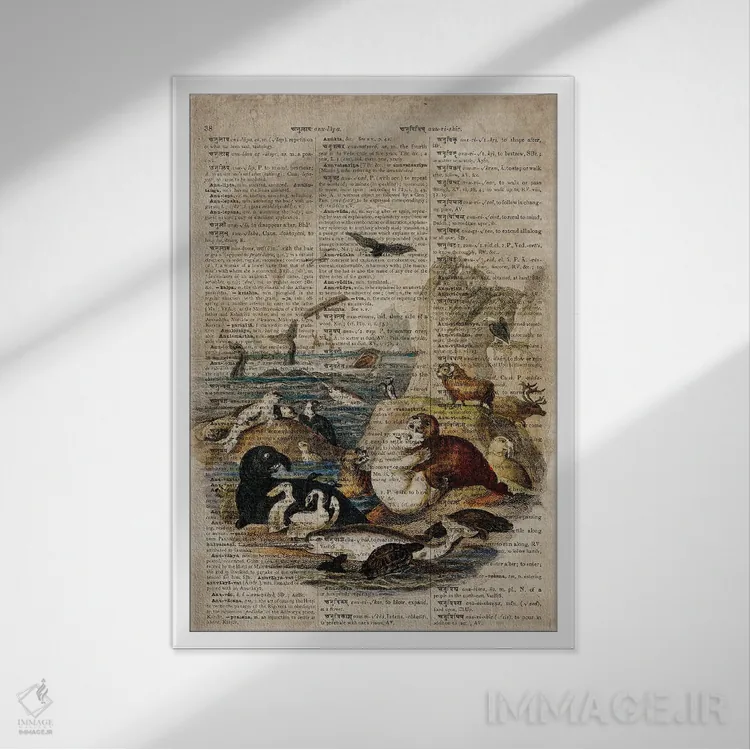 تابلو دکوراتیو حیوانات آبزی الیور گلدسمیت اثر فیشرکرافت - نمای قابدار سفید