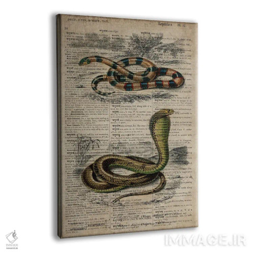 تابلو دکوراتیو مارها اثر فیشرکرافت - نمای پرسپکتیو محصول