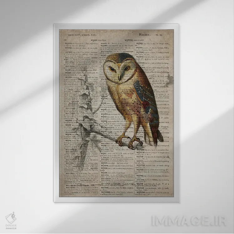 تابلو دکوراتیو جغد اثر فیشرکرافت - نمای قابدار سفید