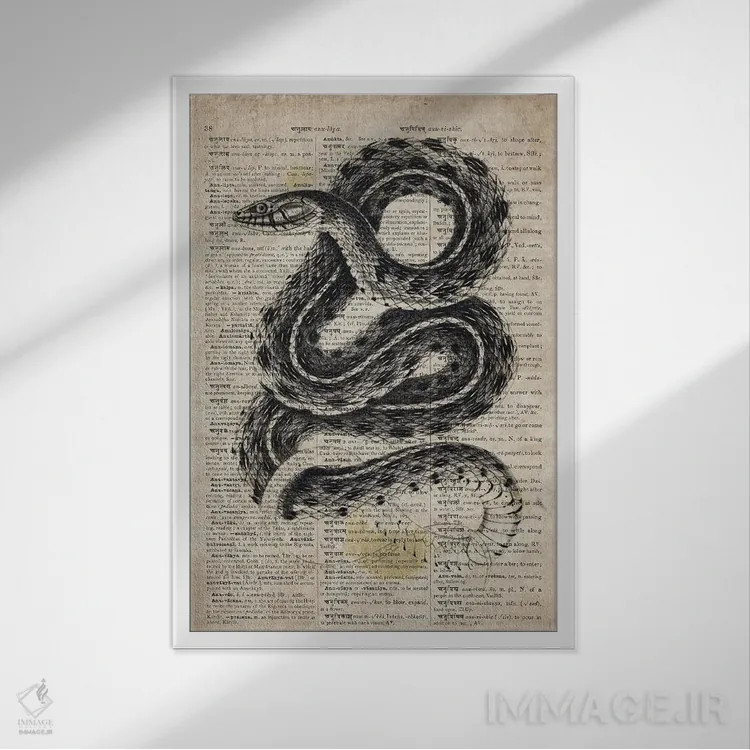 تابلو دکوراتیو مار زنگی اثر فیشرکرافت - نمای قابدار سفید