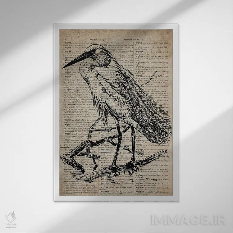 تابلو دکوراتیو چاپ کنده کاری حواصیل XI روی کاغذ دیکشنر قدیمی اثر فیشرکرافت - نمای قابدار سفید