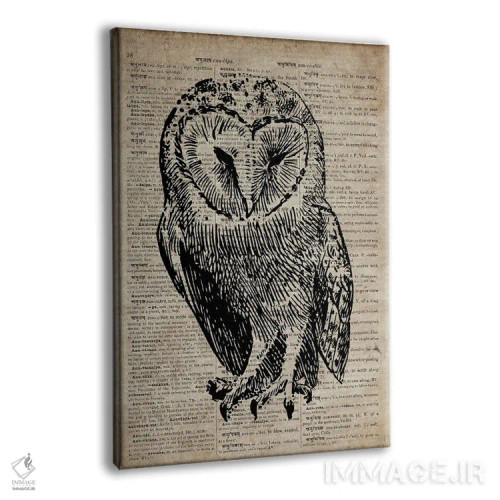 تابلو دکوراتیو چاپ کنده کاری جغد V روی کاغذ دیکشنر قدیمی اثر فیشرکرافت - نمای پرسپکتیو محصول