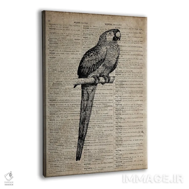 تابلو دکوراتیو چاپ کنده کاری طوطی VII روی کاغذ دیکشنر قدیمی اثر فیشرکرافت - نمای پرسپکتیو محصول