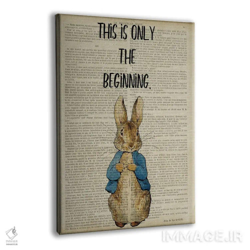 تابلو دکوراتیو پیتر خرگوشه: این فقط آغاز است اثر فیشرکرافت - نمای پرسپکتیو محصول