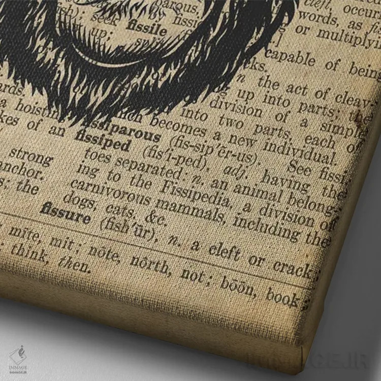 تابلو دکوراتیو پادشاه گوریل روی کاغذ دیکشنر قدیمی اثر فیشرکرافت - نمای نزدیک بافت بوم