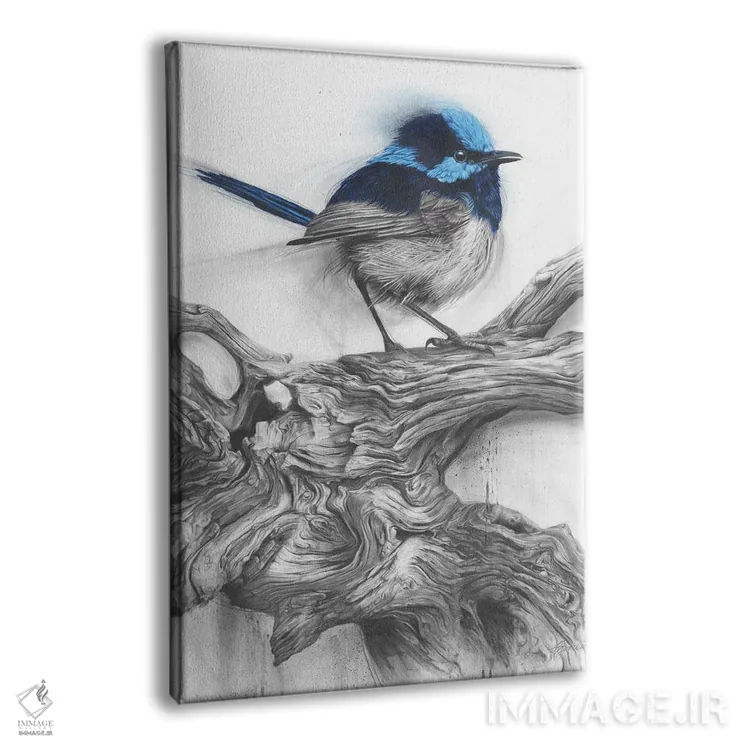 تابلو دکوراتیو فنچ پری اثر فیونا فرانسوا - نمای پرسپکتیو محصول